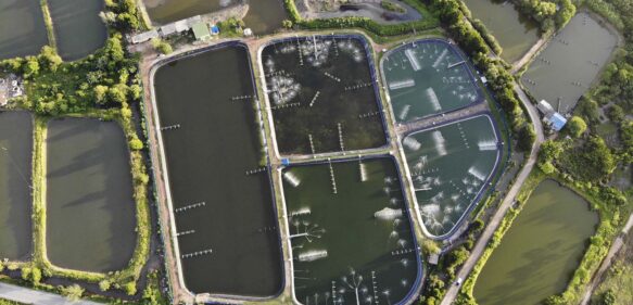 5 Technologies that will Transform the Aquaculture Industry in 2022